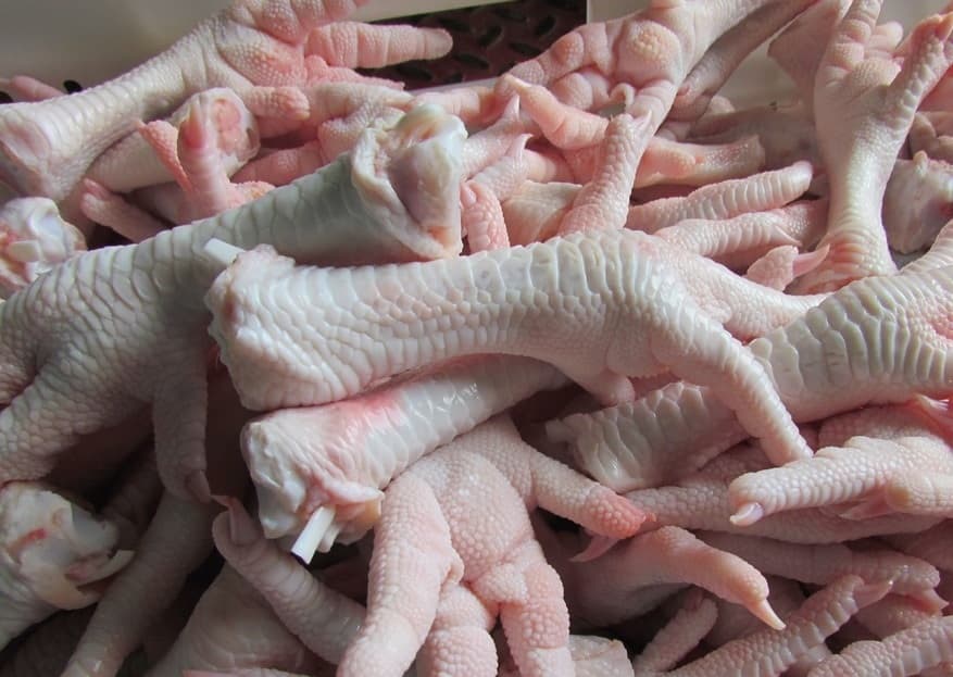 Frozen Chicken Feet_Paws Exporters From Brazil